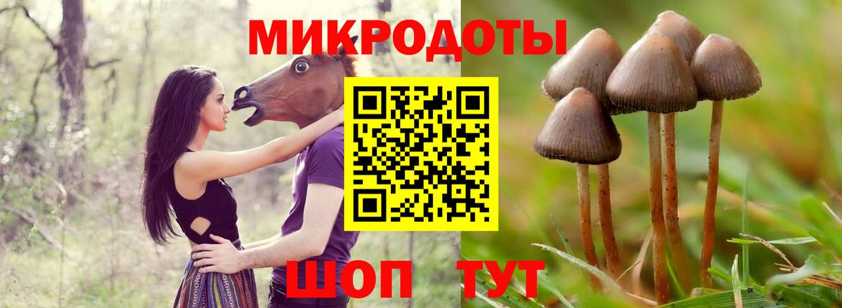 Минусинск  Галлюциногенные грибы мицелий  Вход с VPN 